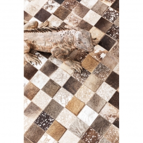 Koberec Cosmo Grey Fur 170x240cm