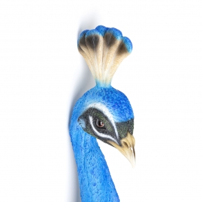 Nástěnná dekorace Peacock