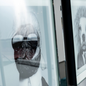 Zarámovaný obraz Genius Karl Lagerfeld 60x60cm