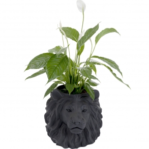 Dekorativní květináč Lion - černý