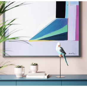 Soška Papoušek Cockatoo - modrý, 38cm