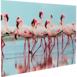 Skleněný obraz Flamingo Team 120x80cm