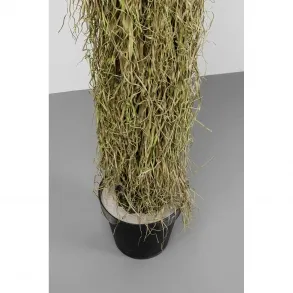 Dekorativní rostlina Yucca 180cm