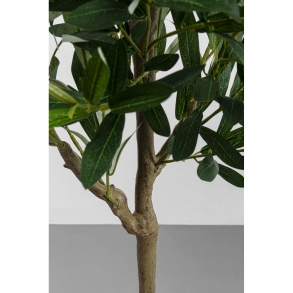 Dekorativní rostlina Olive Tree 150cm