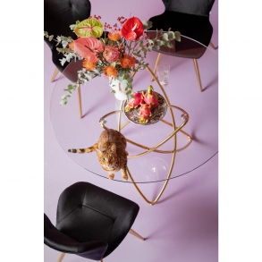Černá čalouněná jídelní židle s područkami Viva