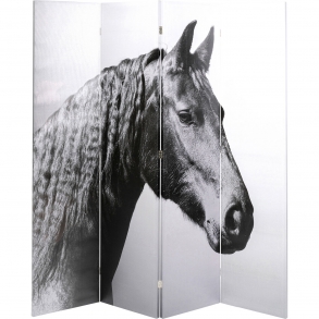 Paravan Beauty Horses 160x180cm